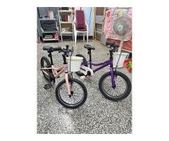 捷安特GIANT兒童自行車16吋