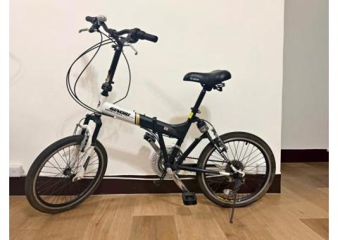 GINORI折疊腳踏車