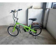 兒童腳踏車，變速腳踏車，110-170cm皆可騎，18吋，ease bike - 1/1