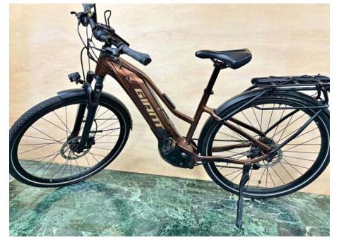 捷安特 GIANT Explore E+ 電輔腳踏車