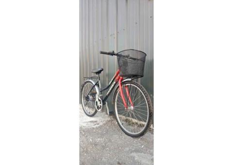 台灣製造 26吋 變速腳踏車（18速）低跨點