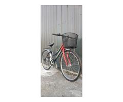 台灣製造 26吋 變速腳踏車（18速）低跨點 - 1/1