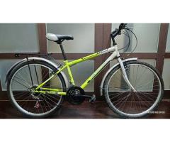 全新~26吋腳踏車