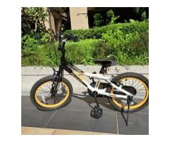 捷安特 16吋 腳踏車 - 1/1