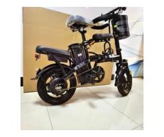 電動腳踏車 - 1/1