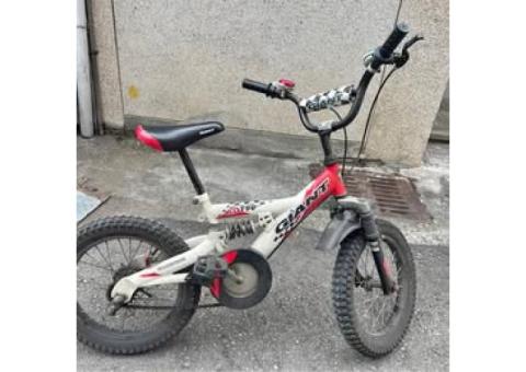 台中大里捷安特腳踏車