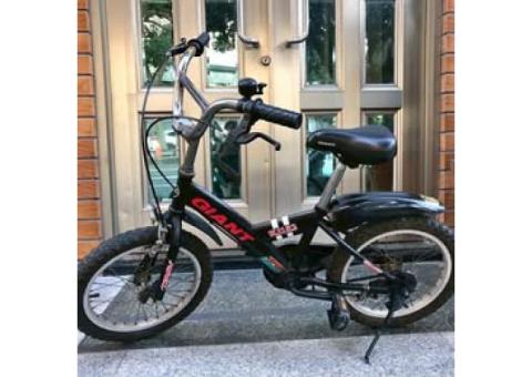 16吋捷安特兒童腳踏車 功能正常 台中市面交（外縣市可寄）