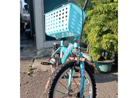 兒童腳踏車（身高110左右）