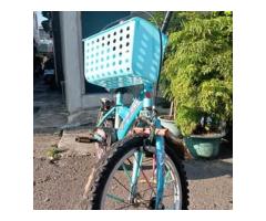 兒童腳踏車（身高110左右）