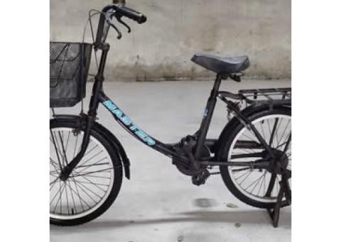 20寸淑女腳踏車