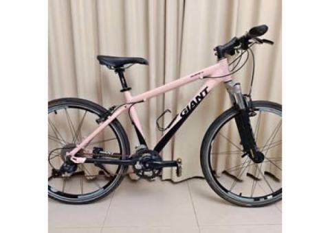 Giant iguana W 女性 登山車 腳踏車 Liv 美利達 Merida 可參考