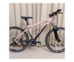 Giant iguana W 女性 登山車 腳踏車 Liv 美利達 Merida 可參考 - 1/1