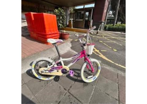GIANT 4-7yo girl children bike 捷安特16吋 二手腳踏車