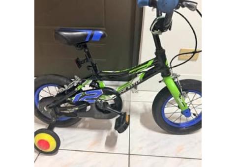 售捷安特 animator 12吋兒童腳踏車(車況漂亮)