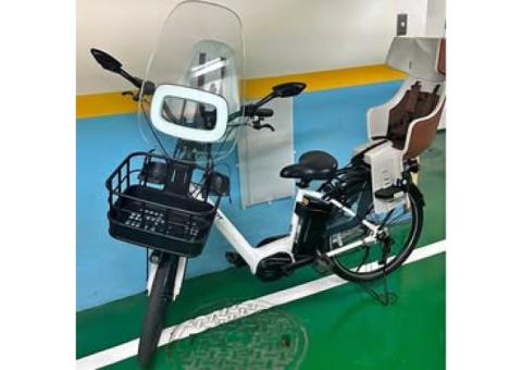 捷安特電動腳踏車 狀況好 附兩個安全椅