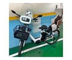 捷安特電動腳踏車 狀況好 附兩個安全椅 - 1/1