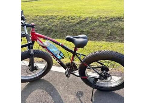 雙碟煞越野腳踏車