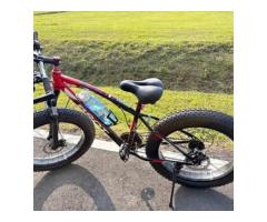 雙碟煞越野腳踏車 - 1/1