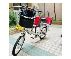 二手親子腳踏車 雙寶可載 - 1/1