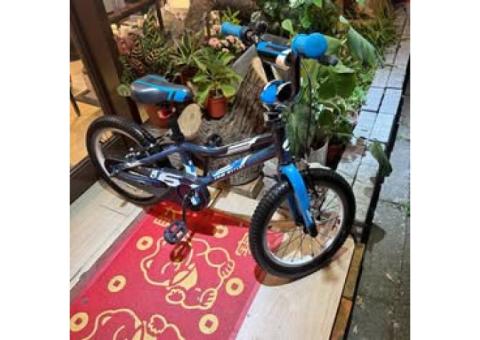 捷安特腳踏車16吋使用痕跡