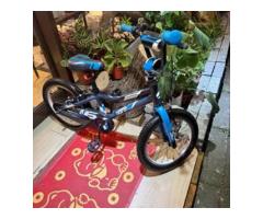 捷安特腳踏車16吋使用痕跡 - 1/1