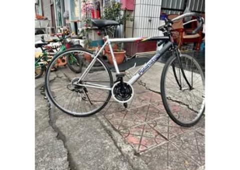 知名品牌公路腳踏車3500元