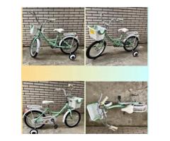 出售美利達兒童腳踏車12吋 - 1/1