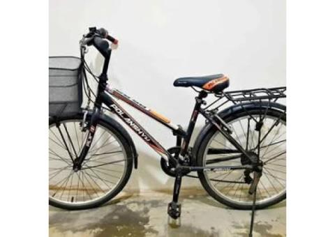 便宜好騎的多段變速腳踏車 Affordable and easy-to-ride multi-speed bicycle