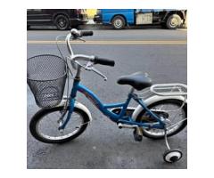 16吋捷安特兒童腳踏車 功能正常 台中市面交（外縣市可寄）