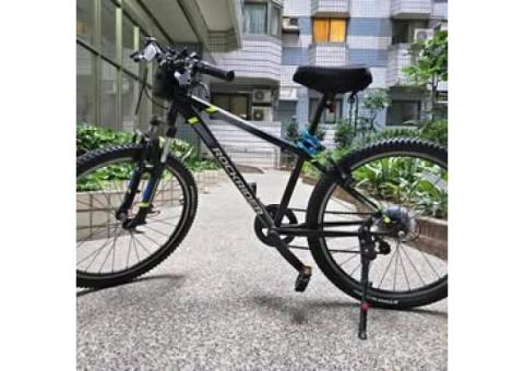 迪卡儂24吋腳踏車