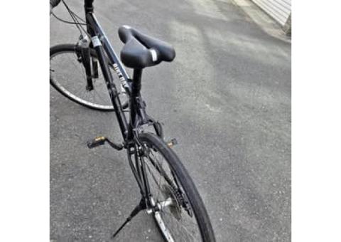 捷安特BIKE DAY紀念車