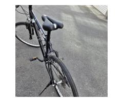 捷安特BIKE DAY紀念車 - 1/1