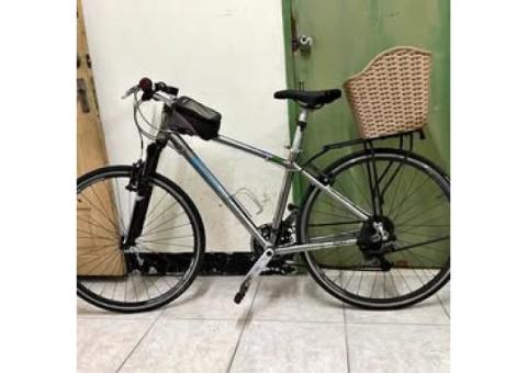 捷安特腳踏車出售