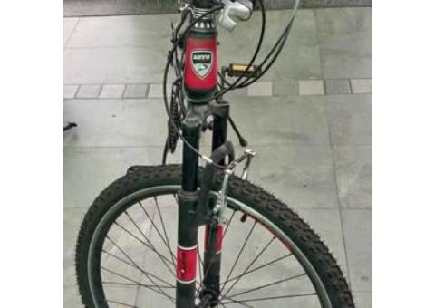 二手腳踏車買一送一,買大送小(大里自取)