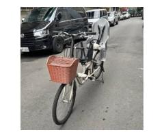 雙載親子變速腳踏車 雙寶腳踏車 白色變速