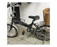 GIANT FD806 折疊腳踏車