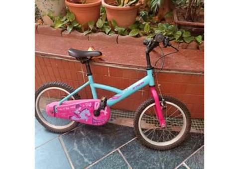 二手 迪卡農 16吋兒童腳踏車 (前後輪需維修或更換)