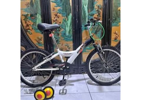 GIANT 捷安特20吋yj250 兒童腳踏車附輔助輪燈鎖適合身高120_130桃園自取