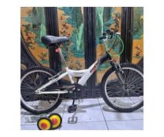 GIANT 捷安特20吋yj250 兒童腳踏車附輔助輪燈鎖適合身高120_130桃園自取 - 1/1