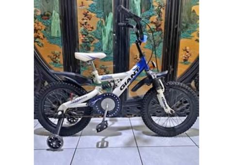 捷安特16吋避震兒童腳踏車適合身高100_110附輔助輪車燈桃園自取