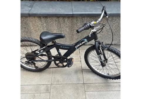 捷安特 GIANT 20吋 腳踏車 自行車 YJ251