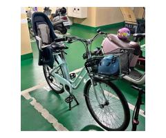 迪卡儂腳踏車+Guppy兒童座椅 - 1/1