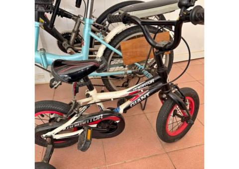 GIANT幼兒腳踏車