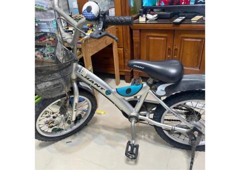 捷安特16吋兒童腳踏車