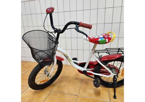 16吋腳踏車（無輔助論）