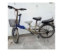 親子腳踏車 - 1/1
