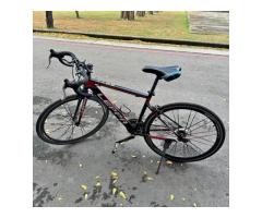 Leppa腳踏車 - 1/1