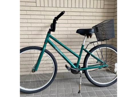 美國🇺🇸進口，運動花式腳踏車