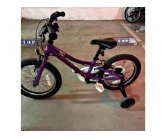 捷安特16寸腳踏車 - 1/1