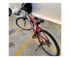 捷安特腳踏車🚴‍♀️ - 1/1